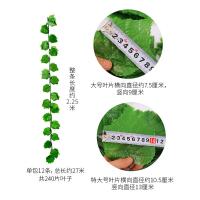 uploads/erp/collection/images/Home Garden/CongDing/XU0610424/img_b/XU0610424_img_b_3